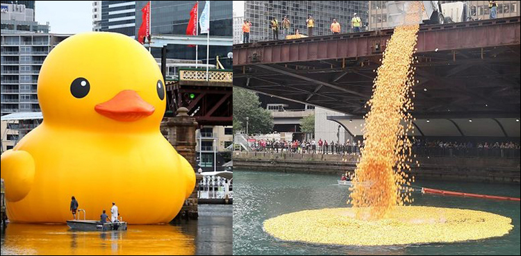 Thousands of rubber ducks dumped in Chicago river