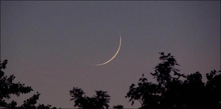 Eid-ul-Azha Pakistan