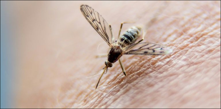 West Nile