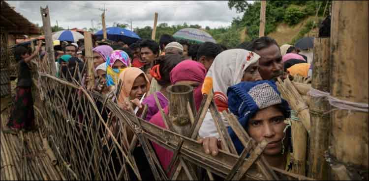 Rohingya, rohingya,