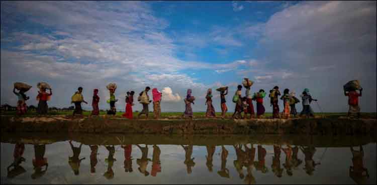 rohingya