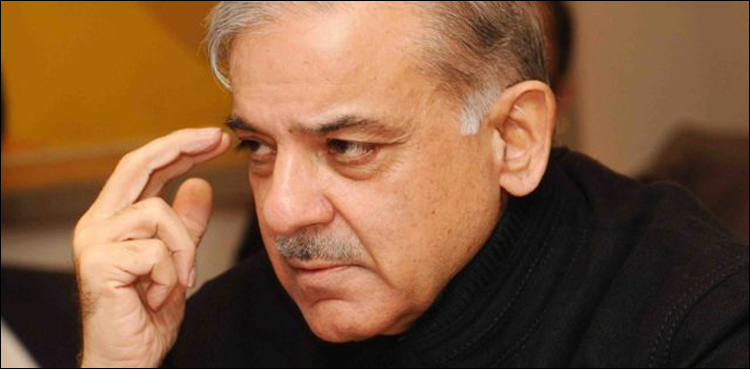 shehbaz