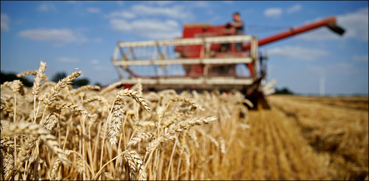 Food security