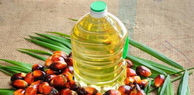 indonesia palm oil export