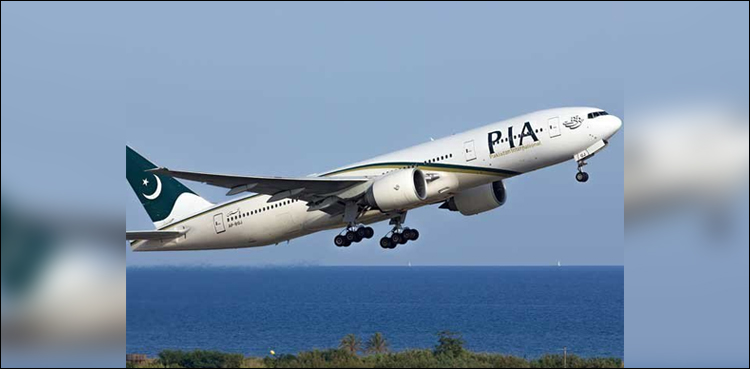 PIA flight attendant