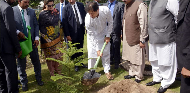 PM Plant for Pakistan