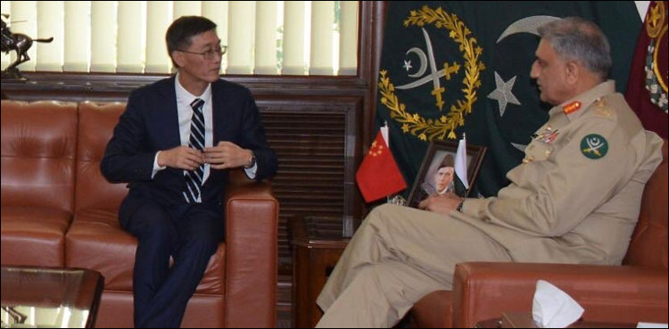 Chinese ambassador army chief