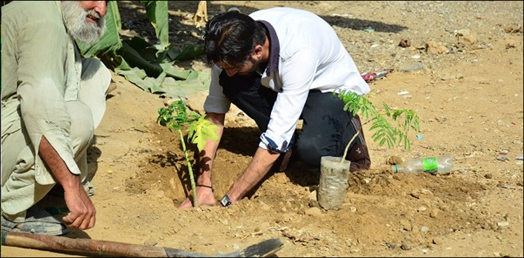 Tree Plantation drive Ministry of Climate change