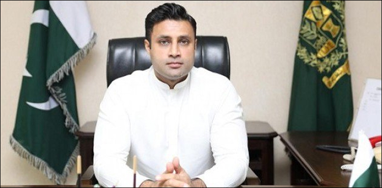Pakistani expats, most valuable assets, country, Zulfikar Bukhari