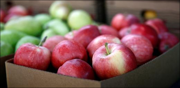 apples
