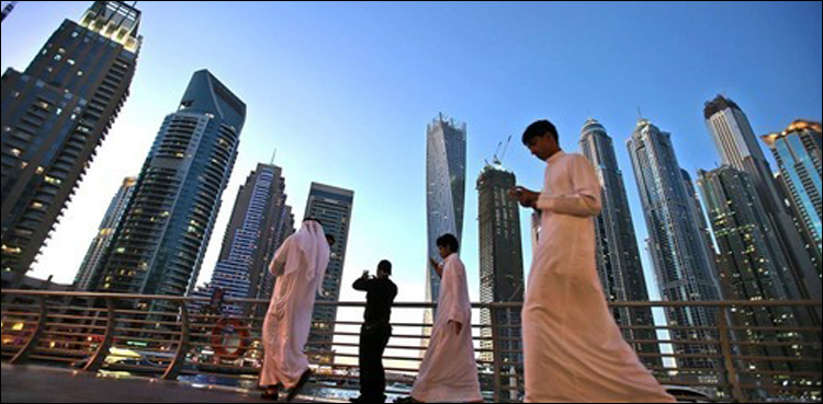UAE Pakistan assets