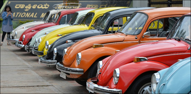 beetle