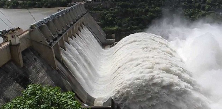 Donor dam fund