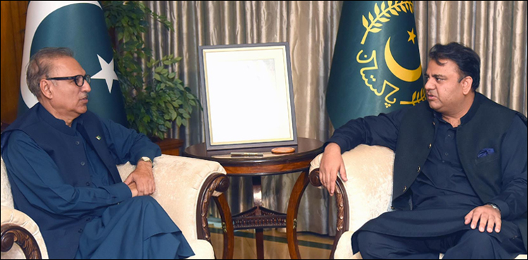 alvi