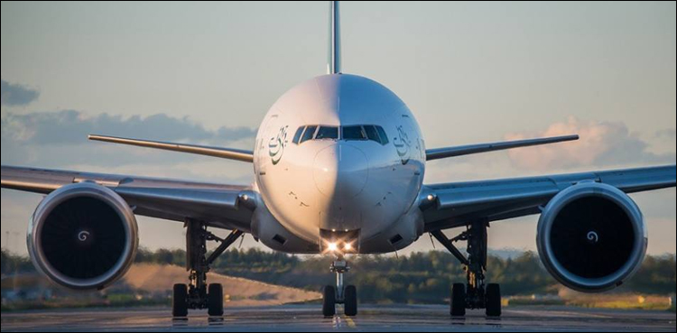 pia