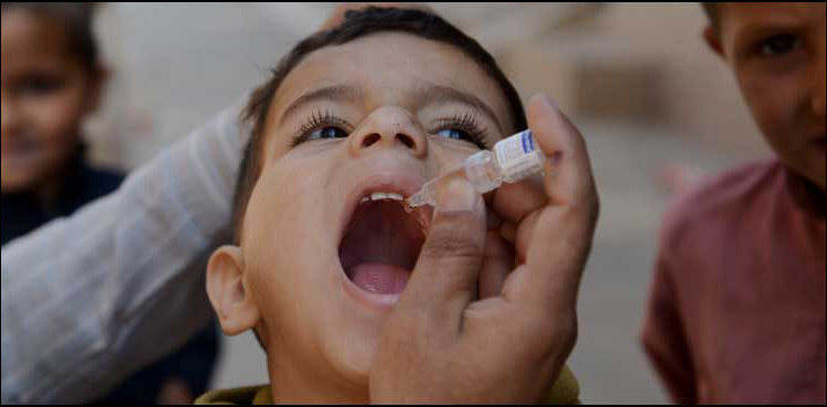 Sindh polio