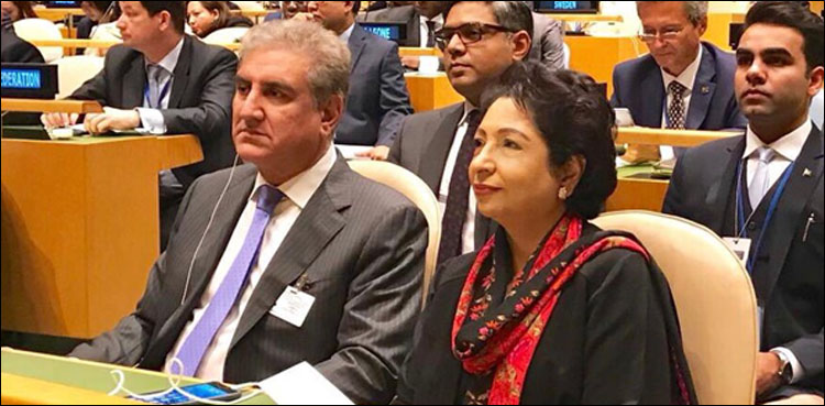 fm qureshi