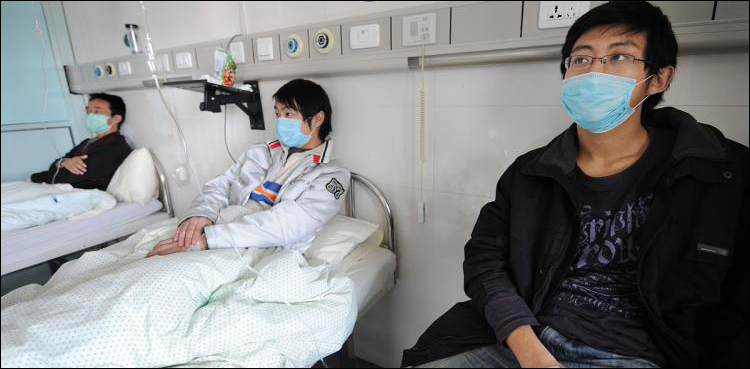 Swine fever flu