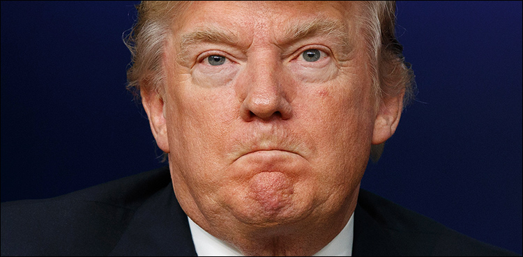 Trump, border wall democrats