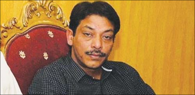 Faisal Raza Abidi