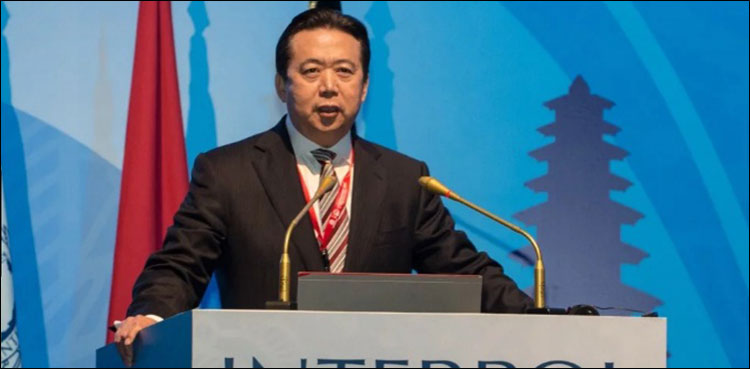Interpol China