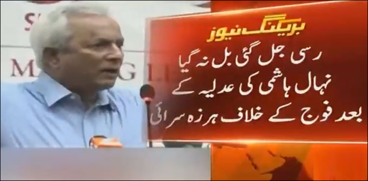 Nehal Hashmi