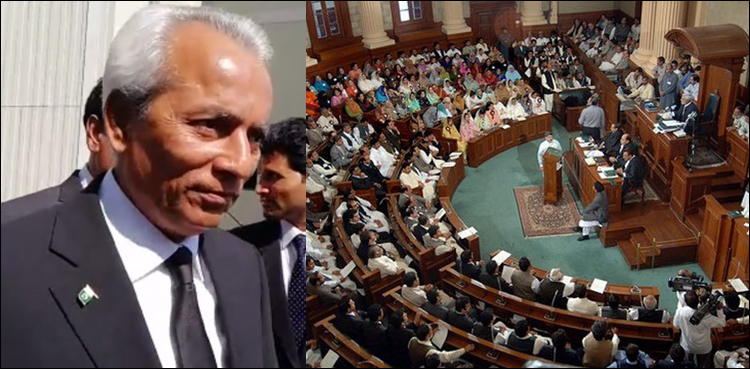 Nehal Hashmi Punjab Assembly