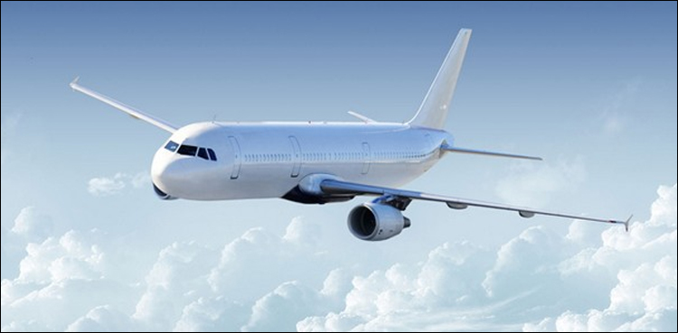Indonesia plane