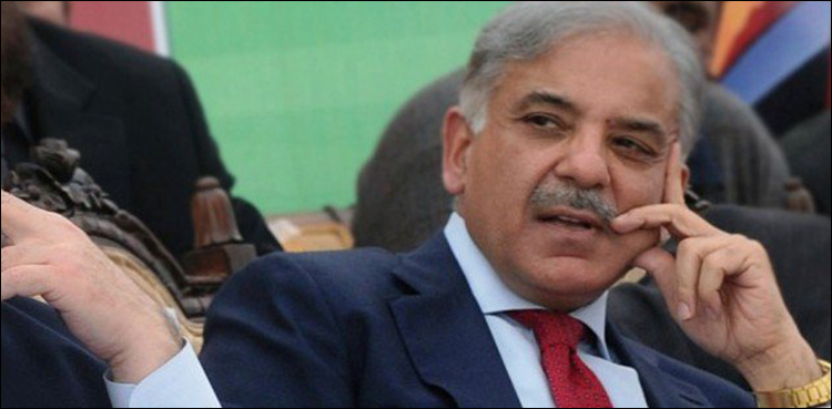 Shehbaz Sharif Ashiana housing scam