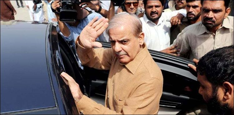 Shehbaz Sharif Bailed
