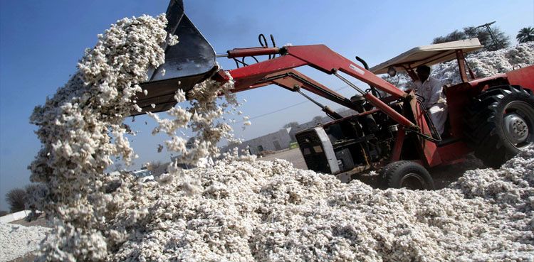Cotton Crop Ginners Association