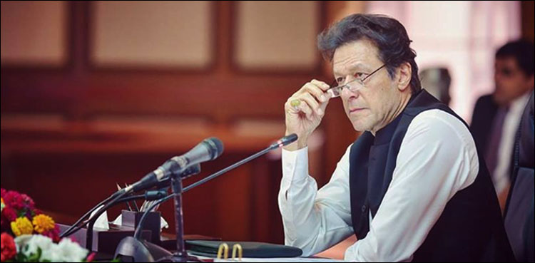 pm imran remittances