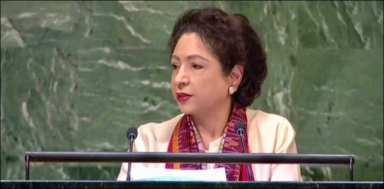 Maleeha Lodhi