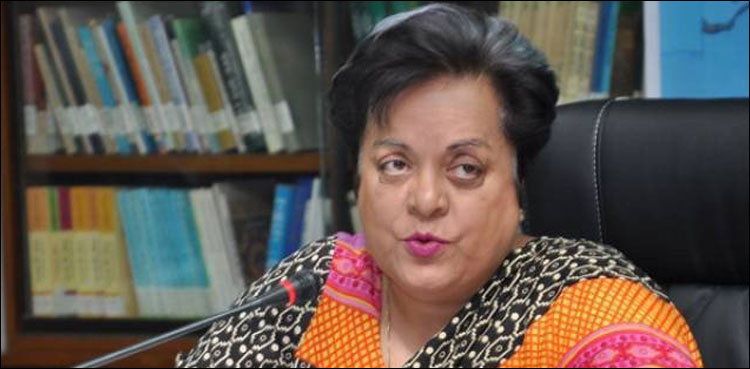 Shireen Mazari CPEC