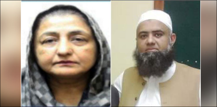 Mother son by-elections
