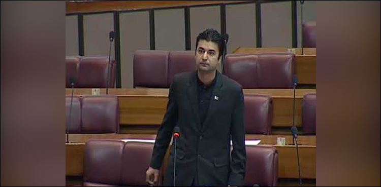 Murad Saeed, federal minister