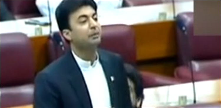 Senate, Murad Saeed