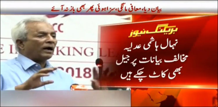 Nehal Hashmi