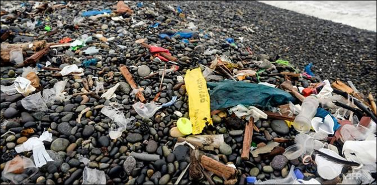 plastic