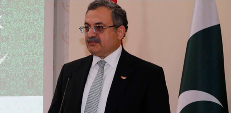 Pakistan ambassador to Turkey