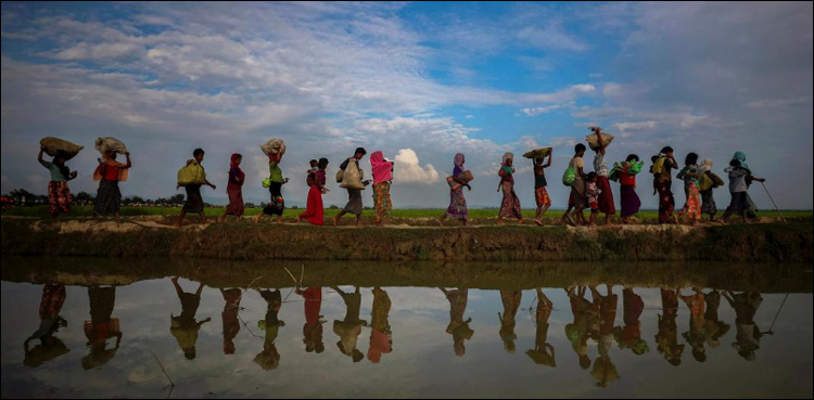 rohingya