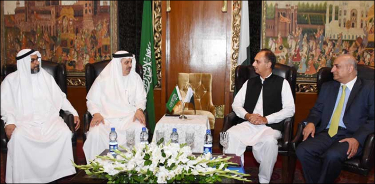 saudi arabia energy