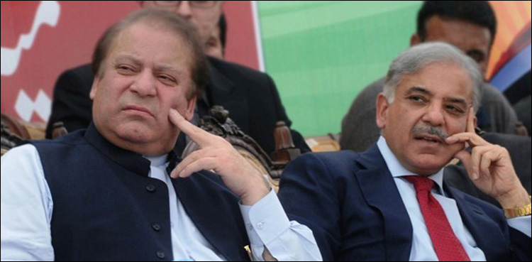 nawaz sharif met shehbaz