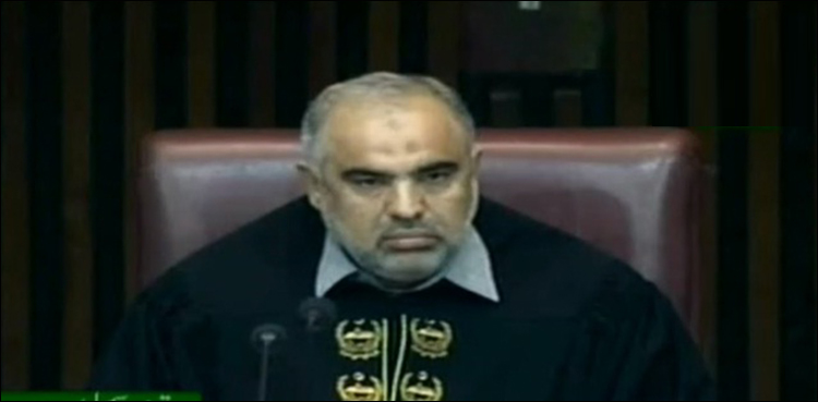 National Assembly Speaker Asad Qaiser, electoral reforms, parliamentary committee