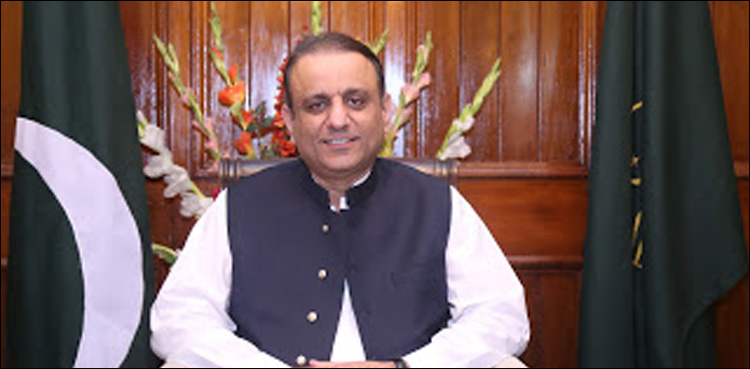 Aleem Khan, local government, Punjab