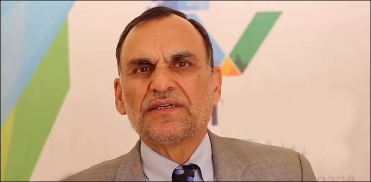 azam swati constitutional amendment Parliament Senate horse trading electoral reforms