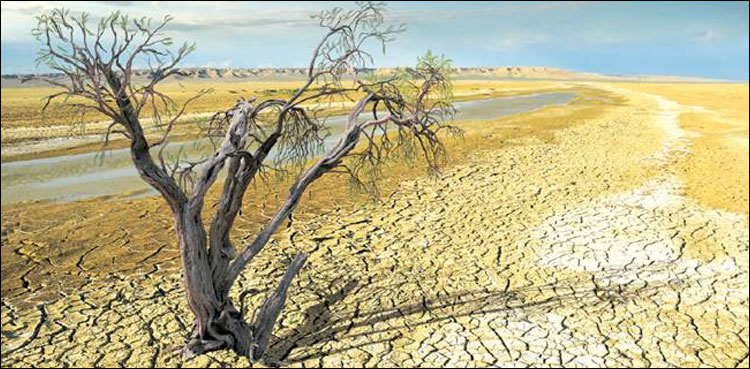 World warming at record speed, scientists warning