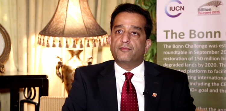 Amin Aslam, Electric vehicles