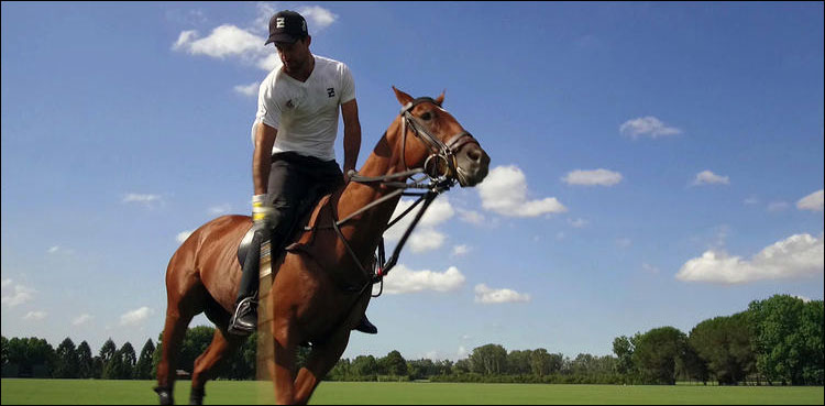 Argentine polo