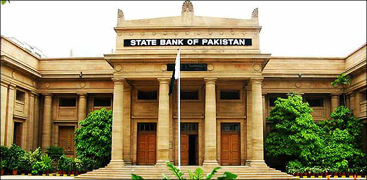 State Bank of Pakistan, annual performance review